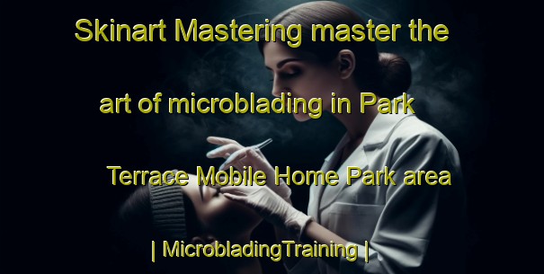Skinart Mastering master the art of microblading in Park Terrace Mobile Home Park area | MicrobladingTraining | MicrobladingClasses | SkinartTraining-United States